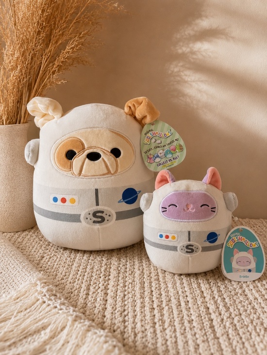 Squishmallows Other - Squishmallows Gordon Astronaut Dog 8” & Brielle Cat 5” Plush Set NWT
